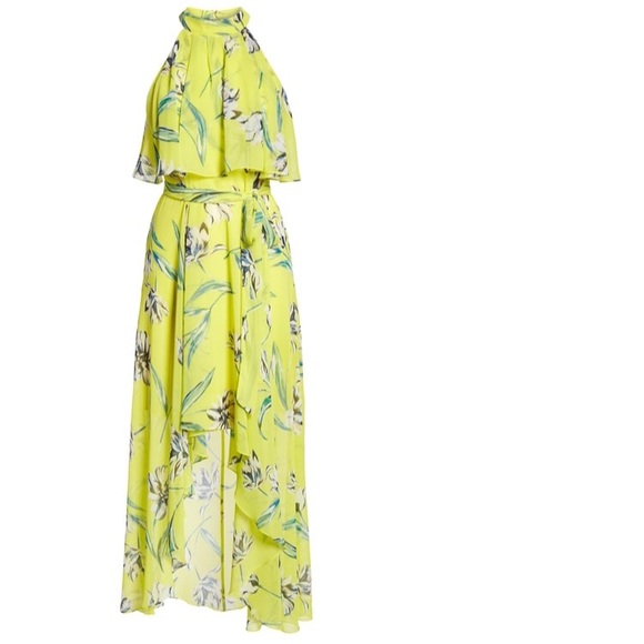 Eliza J Dresses & Skirts - Eliza J Chiffon Maxi Dress